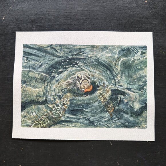 Original Watercolor Painting - Honu Sea Turtle with Autumn Leaf off Oahu - Picture 3 of 3